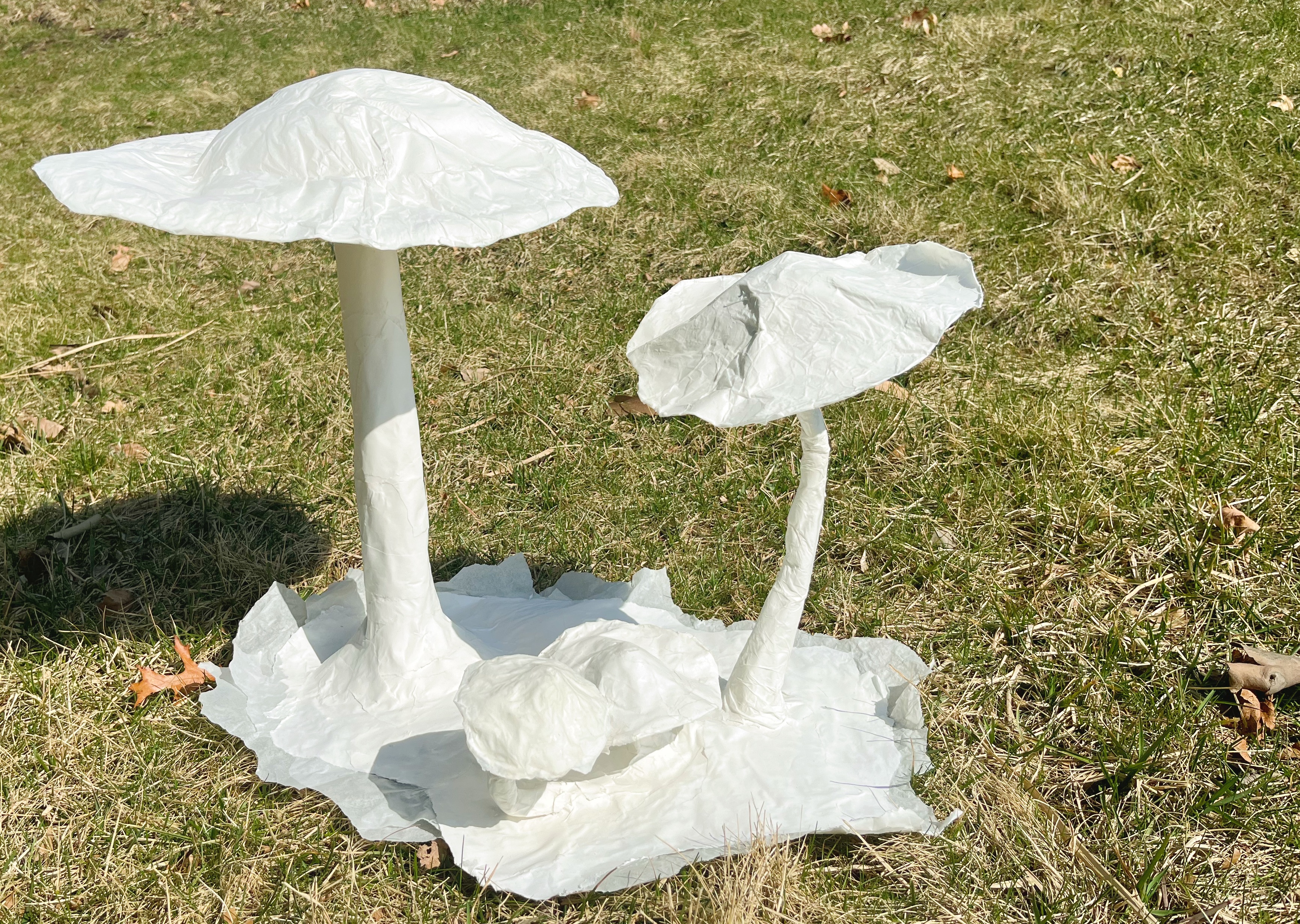 sculpture of tall, medium and two short whit mushrooms on white base