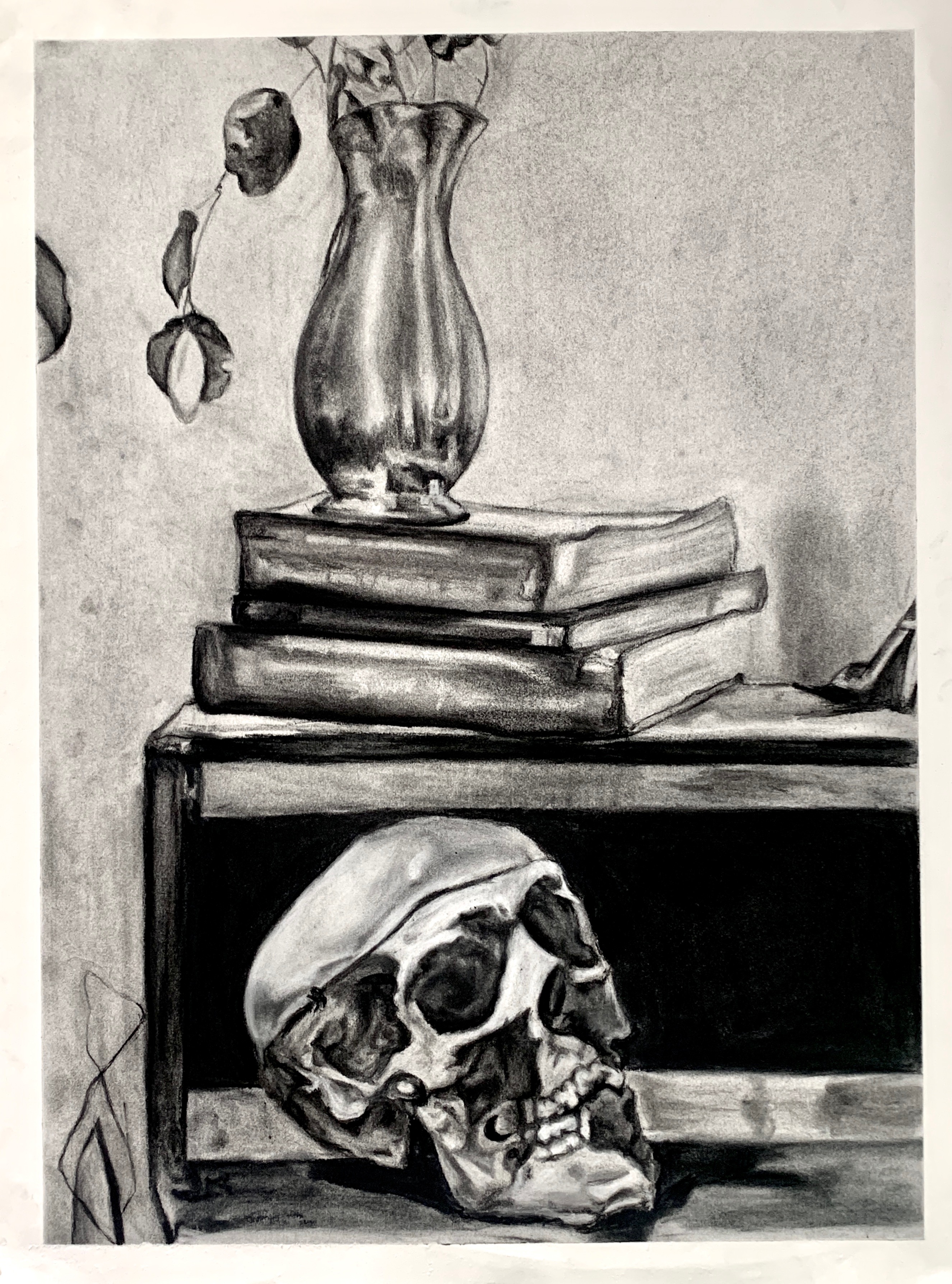  charcoal drawing of skull, books, plant.